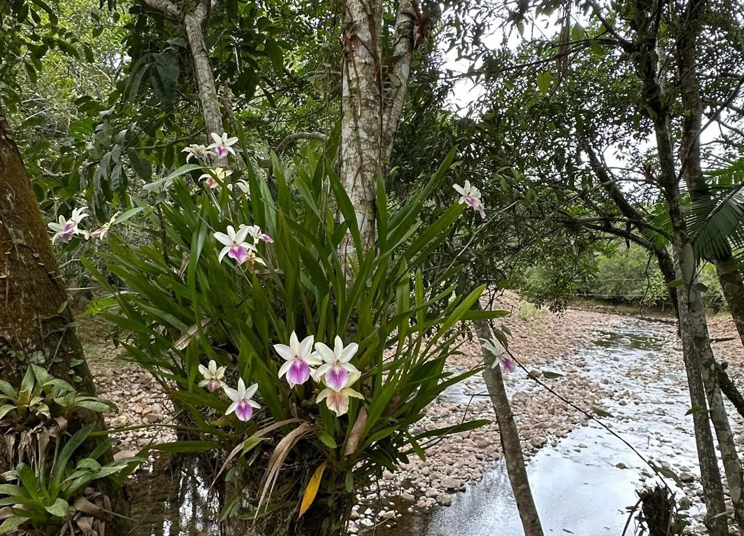 Refugio Ilha Dos Canyons Praia Grande  Brasilien